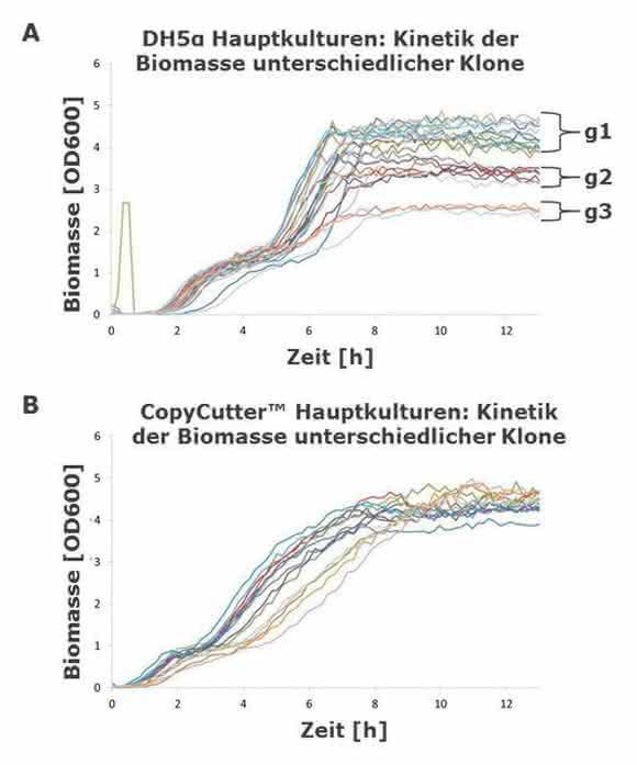 Impfstoffentwicklung: Polyvalente RNA-Wirkstoffcocktails biotechnologisch herstellen