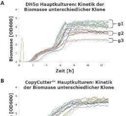 Impfstoffentwicklung: Polyvalente RNA-Wirkstoffcocktails biotechnologisch herstellen