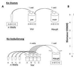 Impfstoffentwicklung: Polyvalente RNA-Wirkstoffcocktails biotechnologisch herstellen