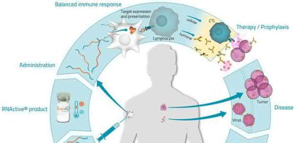Schematische Darstellung RNActive