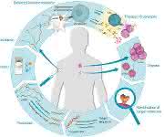 Schematische Darstellung RNActive