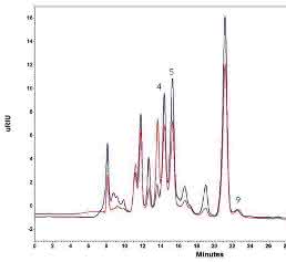 Chromatogramme einer typischen Weinprobe
