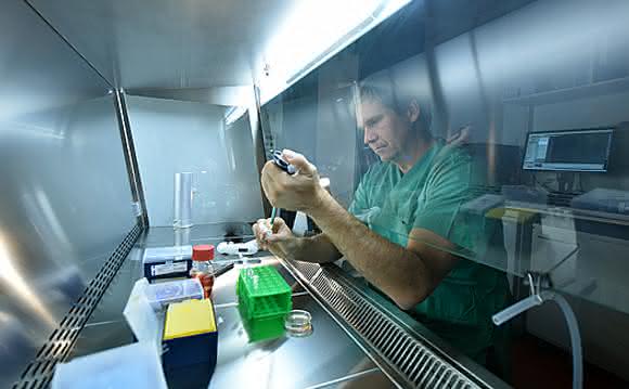 Neurobiologie: RNA-Bindeprotein beeinflusst Gedächtnis