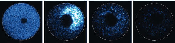 Trim-Away zerstört ein fluoreszierendes Protein in einer Eizelle