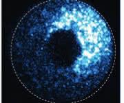 Trim-Away zerstört ein fluoreszierendes Protein in einer Eizelle ... Trim-Away zerstört ein fluoreszierendes Protein in einer Eizelle