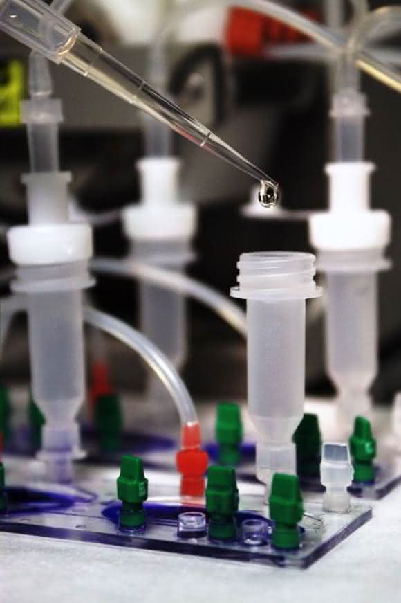 Organ-on-a-chip