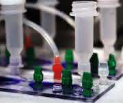 Organ-on-a-chip