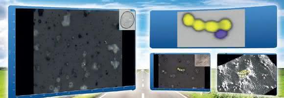 Software für Raman-Imaging