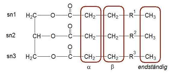 Allgemeine Struktur der Triacylglyceride