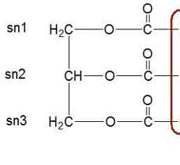Allgemeine Struktur der Triacylglyceride