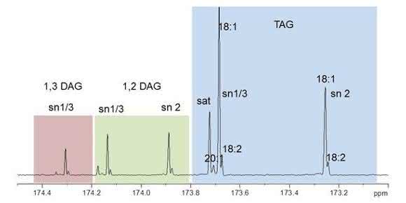 13C-NMR-Spektrum eines Öls