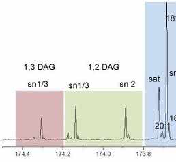 13C-NMR-Spektrum eines Öls