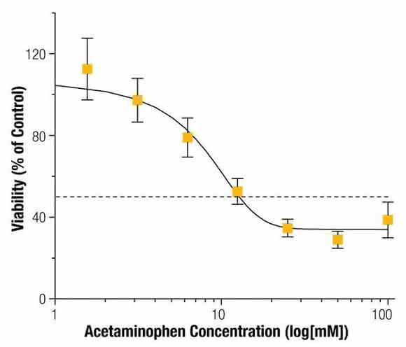 HepG2-Sphäroiden auf Acetoaminophen