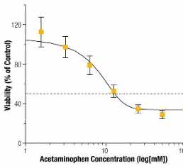 HepG2-Sphäroiden auf Acetoaminophen