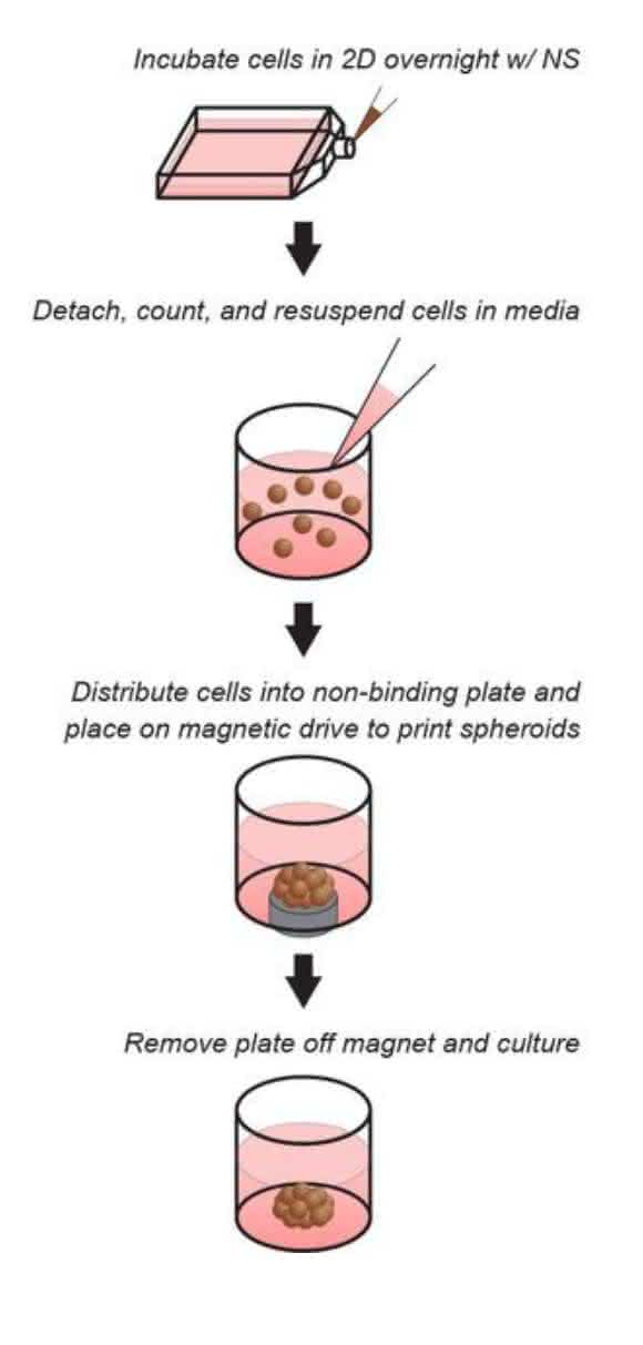 NanoShuttle™-Kit