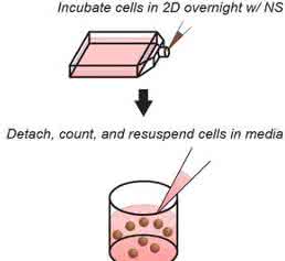 NanoShuttle™-Kit