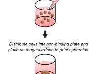 NanoShuttle™-Kit