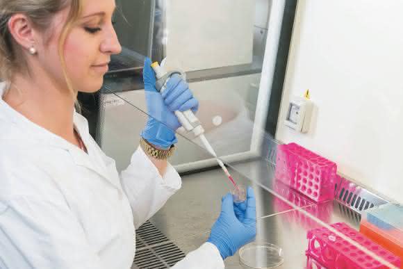 Vanessa Kappings Organ-on-a-Chip-System prämiert: Lush Prize zur Förderung tierversuchsfreier Forschung