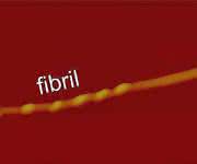 Amyloid-Fibrille Proteinfaltung: Amyloid-Fibrillen: Aus Fasern werden Kristalle