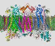 Röntgen-Kristallographie: Proteinkomplexe optimieren mit neuem Analysengerät