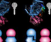 Intermolekulare Bindungen: Proteine mit interface add-ons