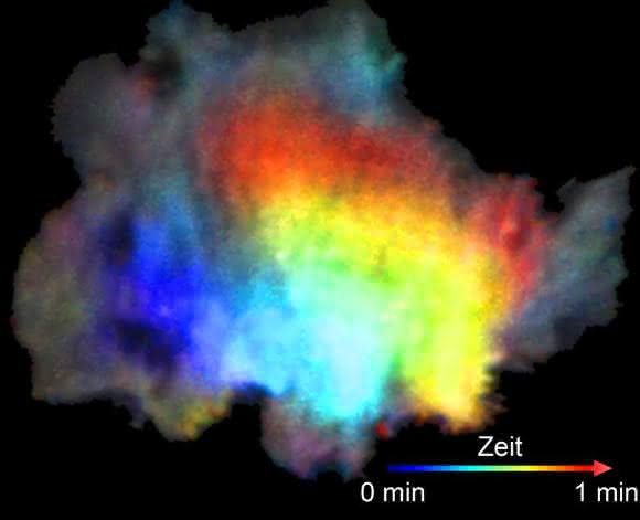 Ausbreitung der Aktivität eines Signalproteins