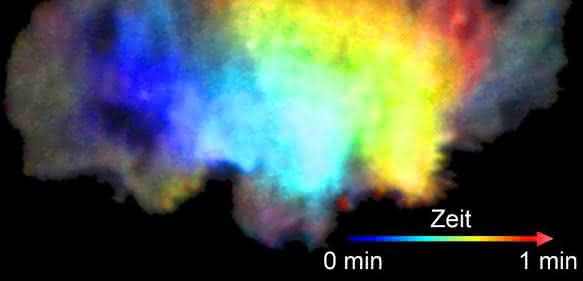 Ausbreitung der Aktivität eines Signalproteins