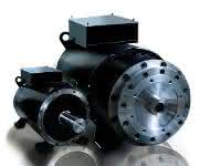 High-Torque-Motoren DST2 High-Torque-Motoren DST2