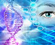 Bioinformatik: Lösung des „Big-Data-Problems: Cloud-Computing