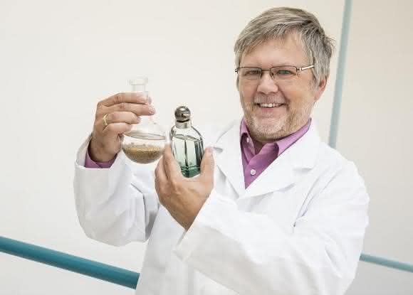 Professor Ralf Ludwig