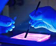 CRISPR/Cas Symposium über CRISPR/Cas: Editieren des Genoms – Neuschreiben unserer Gesellschaft?