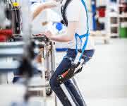 Exoskelett Exoskelett