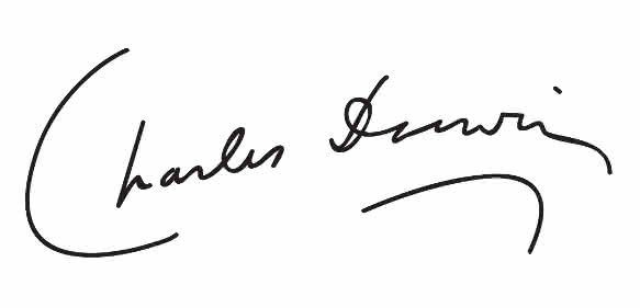 Hat auch Relevanz in der Alternsforschung: Charles Darwins Evolutionsforschung