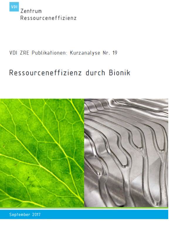 Bionik Ressourceneffizienz durch Bionik: VDI-Analyse verdeutlicht Innovationspotenzial