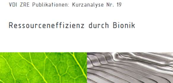 Bionik Ressourceneffizienz durch Bionik: VDI-Analyse verdeutlicht Innovationspotenzial
