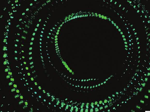 Zellbiologie: Das Motorprotein tanzt in unseren Zellen