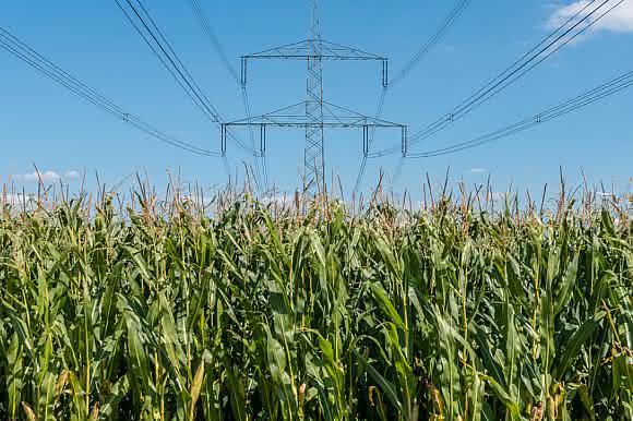 Bioelektrochemische Synthese: Kraftstoffe und Basischemikalien aus Abfällen und Elektrizität