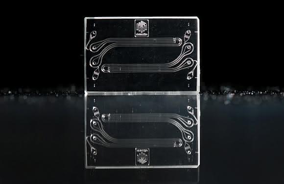 Single Nucleus RNA-Seq Chip Zellkerne und Expressionsprofile: Mikrofluidik-Chip für Hochdurchsatz-Sequenzierung