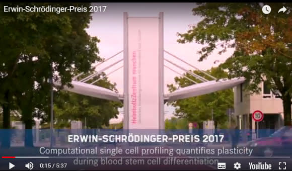 Screenshot Kurzfilm der Preisträger