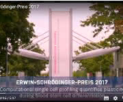 Screenshot Kurzfilm der Preisträger
