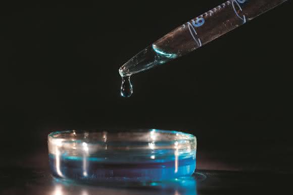 In-vitro-Fleisch: Schnitzel aus der Petrischale?