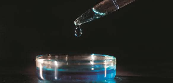 In-vitro-Fleisch In-vitro-Fleisch: Schnitzel aus der Petrischale?