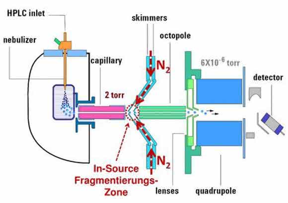 In-Source-Fragmentierung