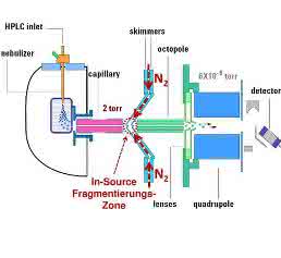 In-Source-Fragmentierung In-Source-Fragmentierung