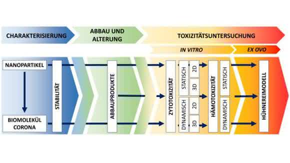 Stufenkonzept zur toxikologischen Bewertung von Nanomaterialien