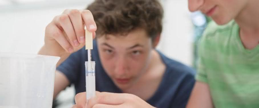 Sie haben sehr sorgfältig gearbeitet, die Bürgerinnen und Bürger: 98 Prozent aller Proben waren verwertbar. (Bild: BMBF/Wissenschaftsjahr 2016*17)