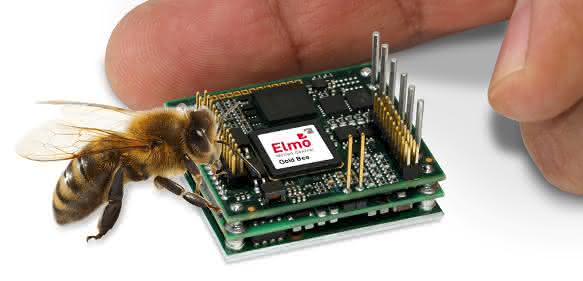 Elmo-Gold-Bee Elmo-Gold-Bee