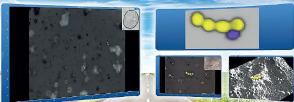 Raman Imaging Schnelles Raman-Imaging: Einfache Navigation und stets fokussiert