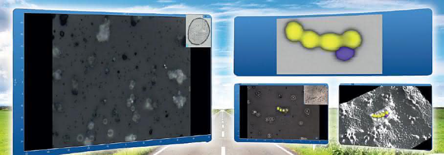 Raman Imaging Schnelles Raman-Imaging: Einfache Navigation und stets fokussiert