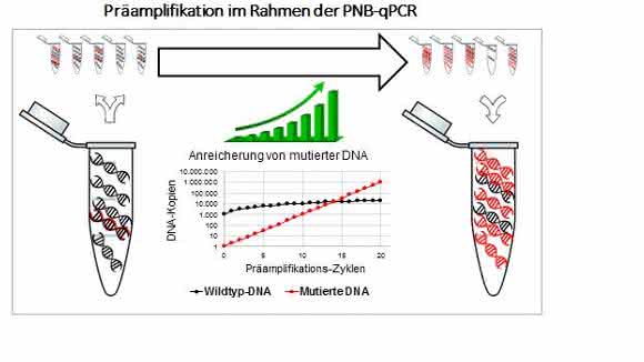 Ausschnitt aus dem diagnostischen Ablauf der neuen Methode (Bild: Abteilung Sportmedizin, Prävention und Rehabilitation, JGU) Ausschnitt aus dem diagnostischen Ablauf der neuen Methode (Bild: Abteilung Sportmedizin, Prävention und Rehabilitation, JGU)